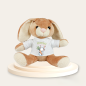 Preview: Stofftier, Kuscheltier Hase mit bedrucktem Mini Tshirt - Ich mag dich volle Möhre!