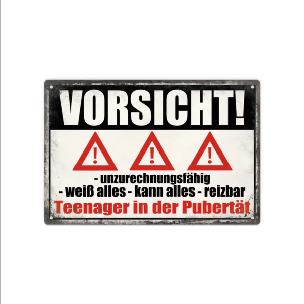 Retro-Metallschild Vintage Blechschild Küche mit lustigem Spruch, "Vorsicht, -unzurechnungsfähig -weiß -alles -kann Alles -reizbar Teenager in der Pubertät"