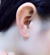 Ohrringe Bogen mit 7 Strassteinen