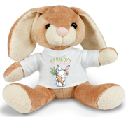 Stofftier, Kuscheltier Hase mit bedrucktem Mini Tshirt - Ich mag dich volle Möhre!